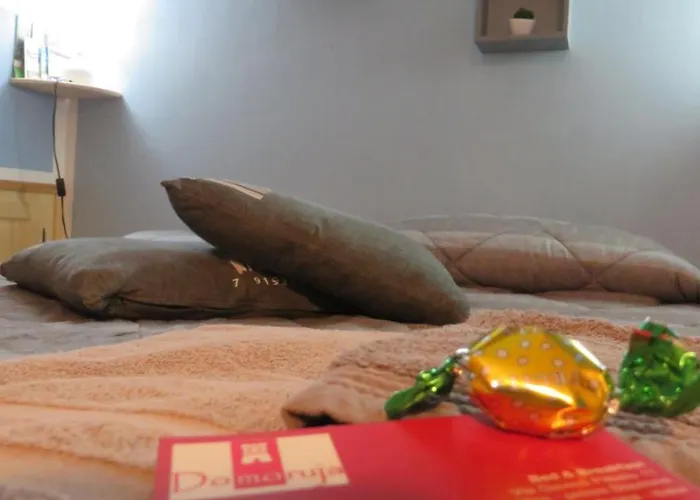 Nocleg ze śniadaniem Domoruja 3*